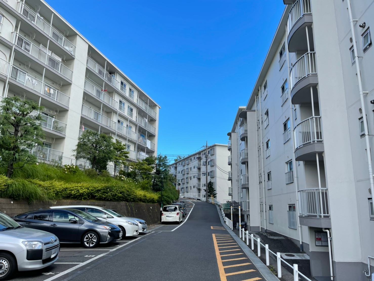 LINE_ALBUM_2022.6.26 三ツ池ハイツ_220626_75