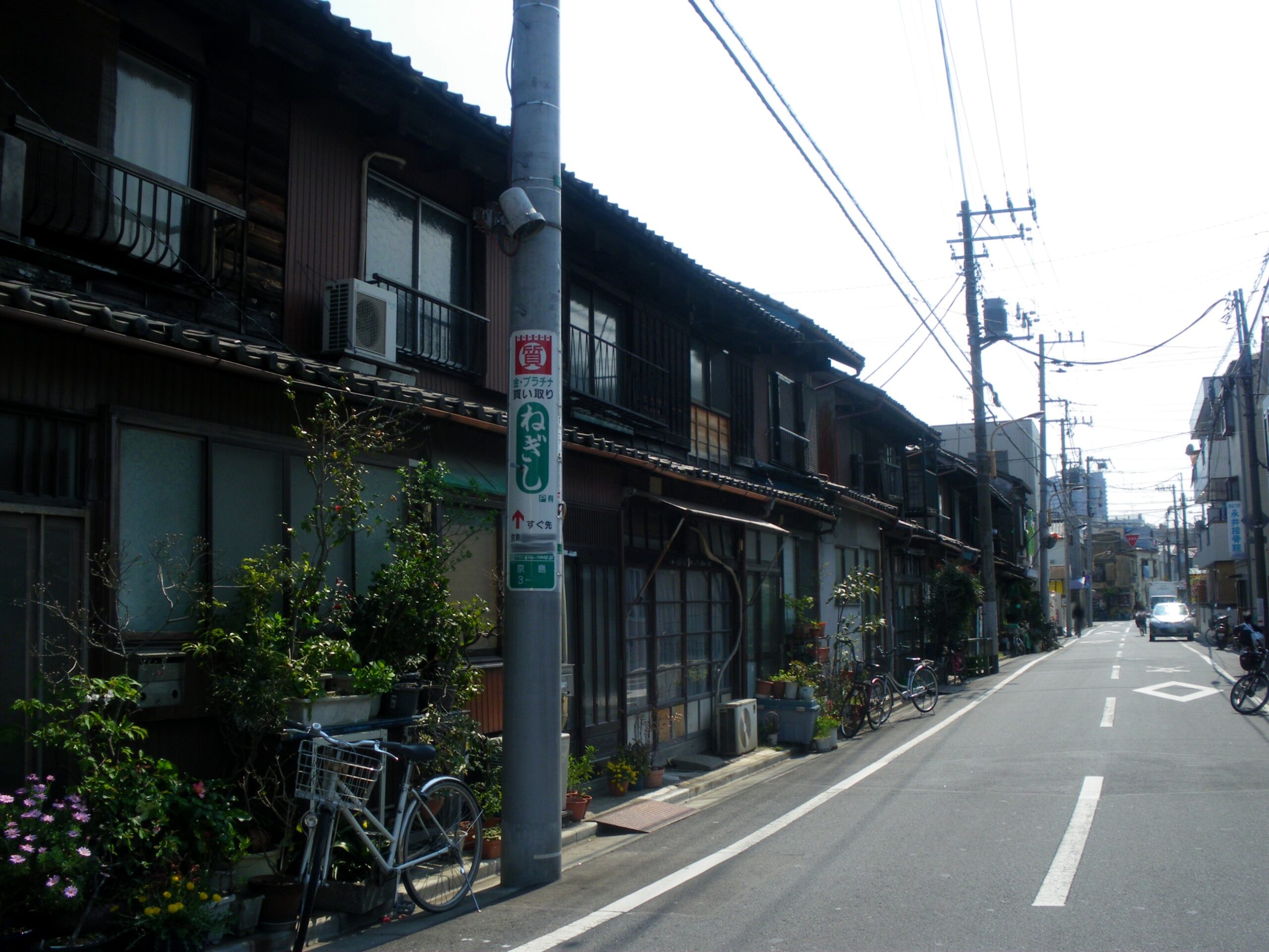 蔦に覆われた古い家屋